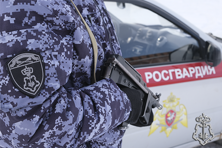 ЗА ПРОШЕДШУЮ НЕДЕЛЮ СМОЛЕНСКИЕ РОСГВАРДЕЙЦЫ ЗАДЕРЖАЛИ БОЛЕЕ 80 ГРАЖДАН ЗА АДМИНИСТРАТИВНЫЕ ПРАВОНАРУШЕНИЯ