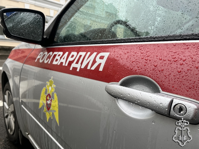 В Смоленской области росгвардейцы за неделю более 130 раз выезжали по сигналу "тревога"