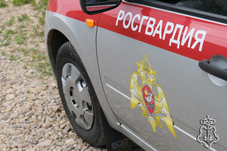 СМОЛЕНСКИЕ РОСГВАРДЕЙЦЫ ЗА ПРОШЕДШУЮ НЕДЕЛЮ ВЫЕЗЖАЛИ БОЛЕЕ 130 РАЗ ПО СИГНАЛУ «ТРЕВОГА»