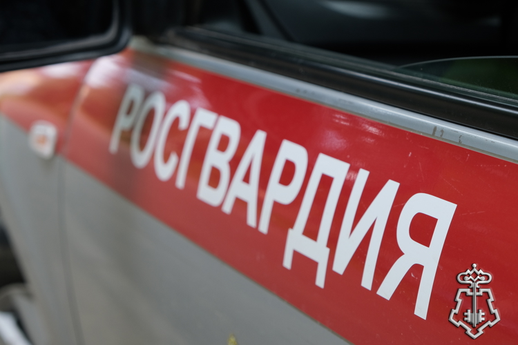 СОТРУДНИКИ РОСГВАРДИИ ЗА ПРОШЕДШУЮ НЕДЕЛЮ ВЫЕЗЖАЛИ БОЛЕЕ 130 РАЗ ПО СИГНАЛУ "ТРЕВОГА" В СМОЛЕНСКОЙ ОБЛАСТИ