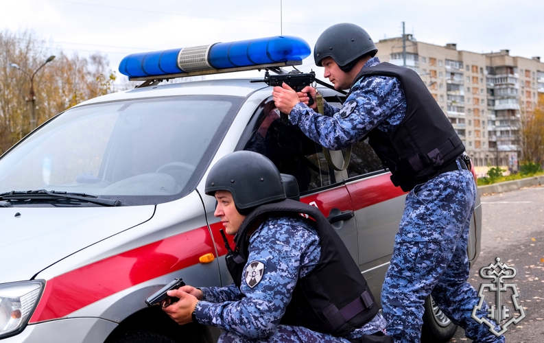 В СМОЛЕНСКОЙ ОБЛАСТИ СОТРУДНИКИ РОСГВАРДИИ ЗА НЕДЕЛЮ ПОРЯДКА 145 РАЗ ВЫЕЗЖАЛИ ПО СИГНАЛУ "ТРЕВОГА"