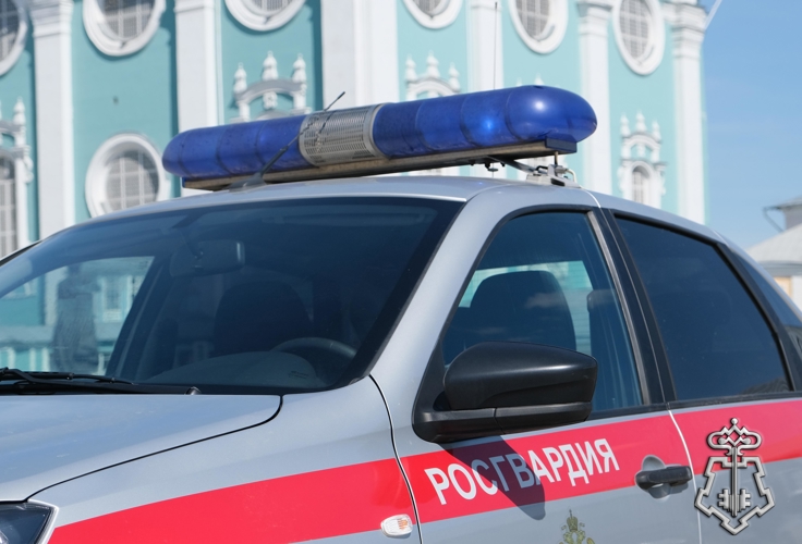 В СМОЛЕНСКОЙ ОБЛАСТИ СОТРУДНИКИ РОСГВАРДИИ ЗА ПРОШЕДШУЮ НЕДЕЛЮ ВЫЕЗЖАЛИ БОЛЕЕ 170 РАЗ ПО СИГНАЛУ "ТРЕВОГА"