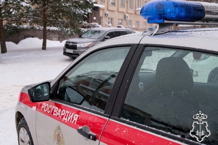 СМОЛЕНСКИЕ РОСГВАРДЕЙЦЫ ЗА ПРОШЕДШУЮ НЕДЕЛЮ ВЫЕЗЖАЛИ БОЛЕЕ 70 РАЗ ПО СИГНАЛУ «ТРЕВОГА»