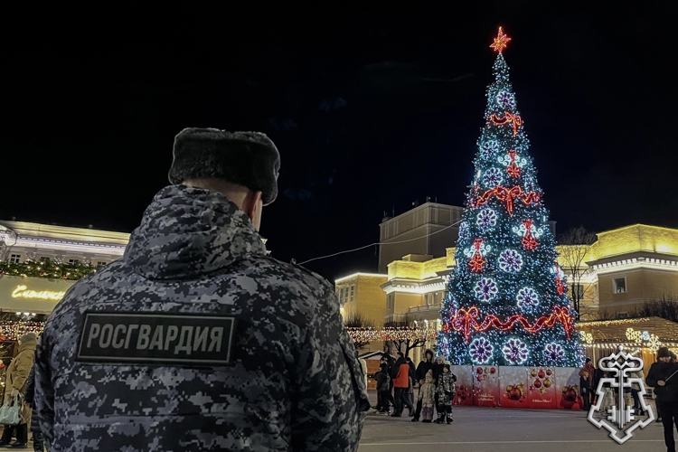 РОСГВАРДИЯ ОБЕСПЕЧИЛА БЕЗОПАСНОСТЬ ЖИТЕЛЕЙ СМОЛЕНСКОЙ ОБЛАСТИ В ПРАЗДНИЧНЫЕ ДНИ