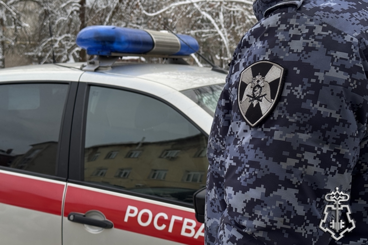 ЗА ПРАЗДНИЧНЫЕ ДНИ СМОЛЕНСКИЕ РОСГВАРДЕЙЦЫ ЗАДЕРЖАЛИ 80 ГРАЖДАН ЗА АДМИНИСТРАТИВНЫЕ ПРАВОНАРУШЕНИЯ