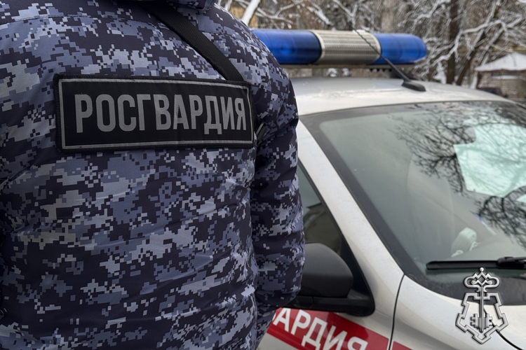 СВЫШЕ 110 СИГНАЛОВ ТРЕВОГИ ОТРАБОТАНО СОТРУДНИКАМИ ВНЕВЕДОМСТВЕННОЙ ОХРАНЫ РОСГВАРДИИ В СМОЛЕНСКОЙ ОБЛАСТИ