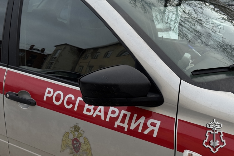 В ВЯЗЬМЕ РОСГВАРДЕЙЦЫ ЗАДЕРЖАЛИ МУЖЧИНУ В АЛКОГОЛЬНОМ ОПЬЯНЕНИИ