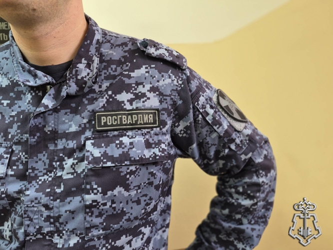 В СМОЛЕНСКОЙ ОБЛАСТИ СОТРУДНИКИ РОСГВАРДИИ ЗА ПРОШЕДШУЮ НЕДЕЛЮ ВЫЕЗЖАЛИ БОЛЕЕ 134 РАЗ ПО СИГНАЛУ "ТРЕВОГА"